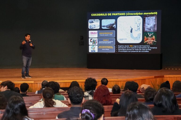 imagen_952.jpg